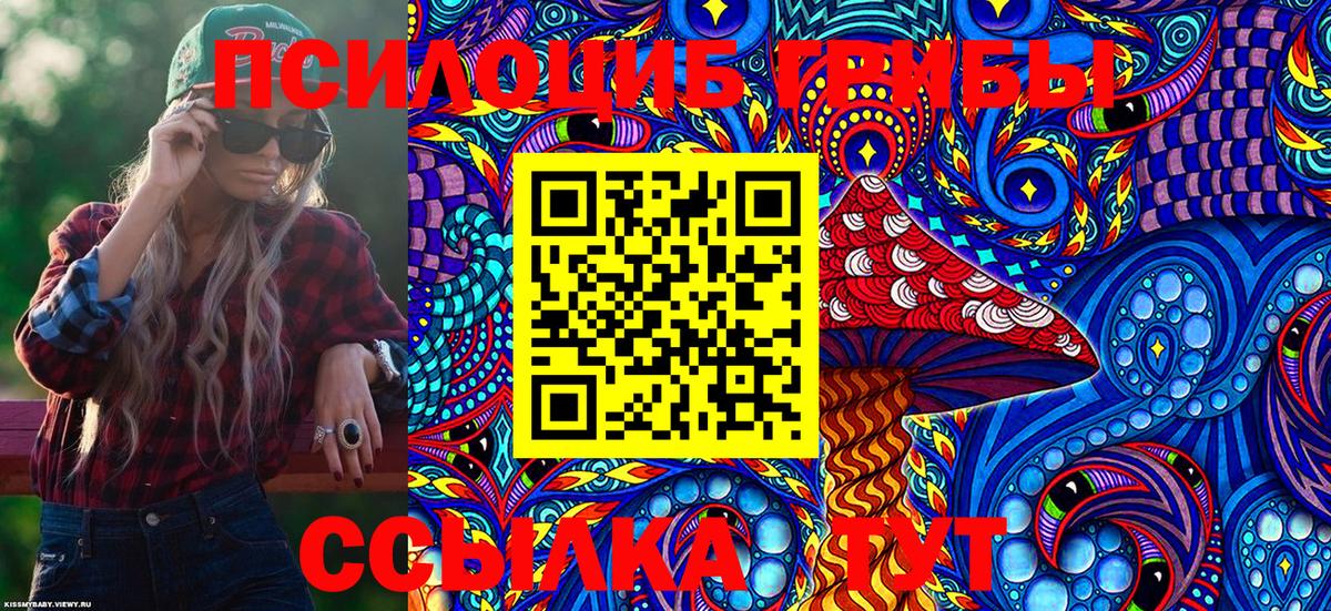 Муром  Псилоцибиновые грибы GOLDEN TEACHER  Вход с VPN  Псилоцибиновые грибы Magic Shrooms 